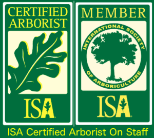 ISA Certified Arborist on Staff